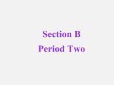 吉林省舒兰市第一中学八年级英语下册 Unit 6 An old man tried to move the mountains Section B Period 2课件