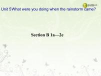 初中英语人教新目标 (Go for it) 版八年级下册Unit 5 What were you doing when the rainstorm came?Section B说课ppt课件