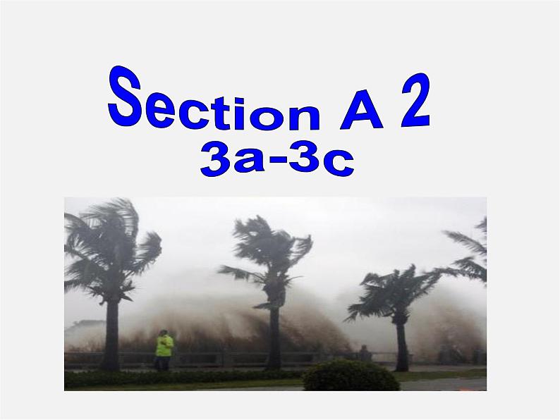 八年级英语下册 Unit 5 What were you doing when the rainstorm came Section A（3a-3c）课件第2页