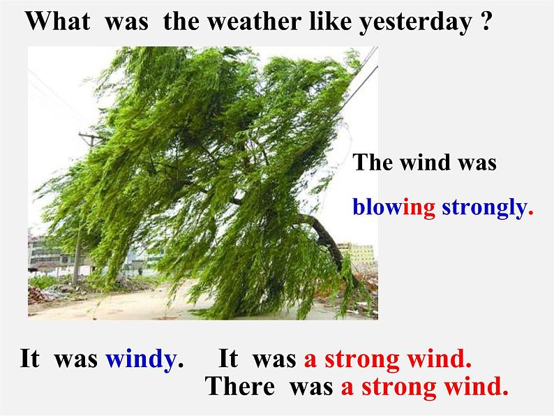 八年级英语下册 Unit 5 What were you doing when the rainstorm came Section A（3a-3c）课件第6页