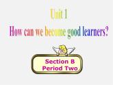 山东省胶南市理务关镇中心中学九年级英语全册 Unit 1 How can we become good learners Section B2课件 （新版）人教新目标版