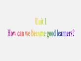 九年级英语全册 Unit 1 How can we become good leaners Section B课件 （新版）人教新目标版