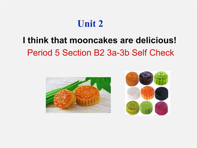 河北省东光县第二中学九年级英语全册 Unit 2 I think that mooncakes are delicious Section B 2课件 （新版）人教新目标版01