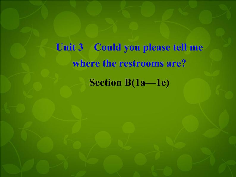 河北省东光县第二中学九年级英语全册 Unit 3 Could you please tell me where the restrooms are Section B 1课件 （新版）人教新目标版第1页