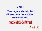 九年级英语全册 Unit 7 Teenagers should be allowed to choose their own clothes Section B 3课件