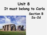 湖北省松滋市涴市镇初级中学九年级英语全册 Unit 8 It must belong to Carla Section B 2a-2d课件