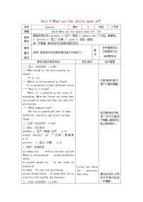 初中英语人教新目标 (Go for it) 版九年级全册Section A第3课时教案及反思