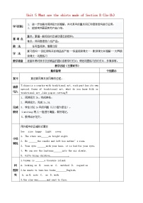 人教新目标 (Go for it) 版九年级全册Section B教学设计