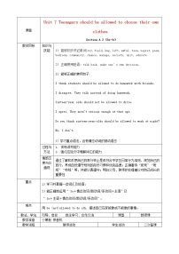 人教新目标 (Go for it) 版九年级全册Section A教案及反思