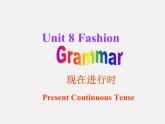 七年级英语上册 Unit 8《Fashion Grammar》课件1