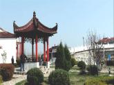 牛津译林初中英语七下  Unit 3 Welcome to Sunshine Town Reading课件