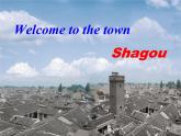 牛津译林初中英语七下  Unit 3 Welcome to Sunshine Town Reading课件