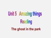 江苏省南京市长城中学七年级英语下册 Unit 5 Amazing things Reading课件