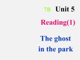 江苏省句容市天王中学七年级英语下册《Unit 5 Amazing things Reading 1》课件