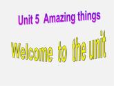 牛津译林初中英语七下 Unit 5 Amazing things welcome to the unit课件