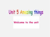 牛津译林初中英语七下Unit 5 Amazing things Welcome to the unit课件