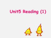 江苏省常州市钟楼实验中学七年级英语下册 Unit 5 Amazing things reading课件