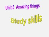 牛津译林初中英语七下Unit 5 Amazing things Study skills课件