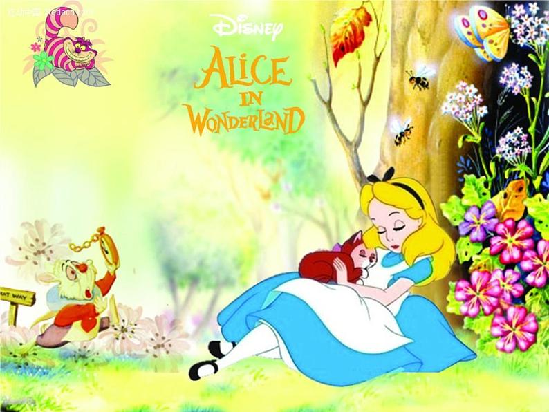 牛津译林初中英语七下 Unit 6 Outdoor fun Reading课件第4页