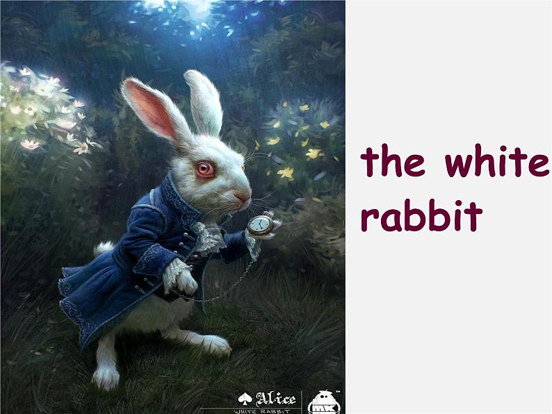 牛津译林初中英语七下 Unit 6 Outdoor fun Reading课件第5页