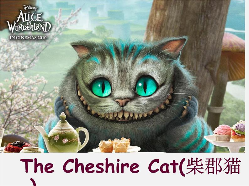 牛津译林初中英语七下 Unit 6 Outdoor fun Reading课件第6页