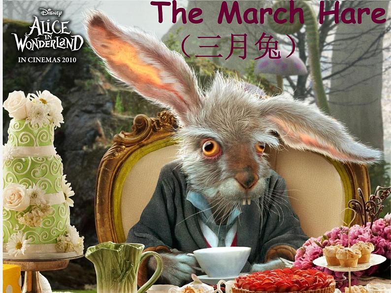 牛津译林初中英语七下 Unit 6 Outdoor fun Reading课件第7页