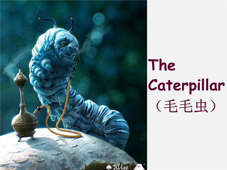 牛津译林初中英语七下 Unit 6 Outdoor fun Reading课件第8页