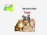 江苏省句容市天王中学七年级英语下册 Unit 8 Pets Task课件