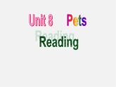 江苏省句容市天王中学七年级英语下册 Unit 8 Pets Reading 2课件