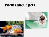 江苏省句容市天王中学七年级英语下册 Unit 8 Pets Reading 2课件