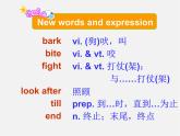 江苏省句容市天王中学七年级英语下册 Unit 8 Pets Reading 2课件