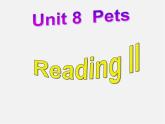 牛津译林初中英语七下Unit 8 Pets Reading II课件