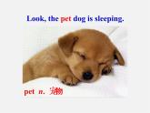 牛津译林初中英语七下 Unit 8 Pets welcome to the Unit课件