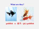 牛津译林初中英语七下 Unit 8 Pets welcome to the Unit课件