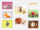 牛津译林初中英语七下Unit 8 Pets welcome to the Unit课件1