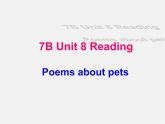 牛津译林初中英语七下 Unit 8 Pets Reading课件
