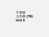 牛津译林初中英语七下Unit 8 Pets Reading 2课件