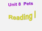 牛津译林初中英语七下Unit 8 Pets Reading I课件