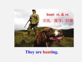 牛津译林初中英语七下Unit 8 Pets Reading I课件