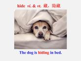 牛津译林初中英语七下Unit 8 Pets Reading I课件