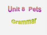 牛津译林初中英语七下 Unit 8 Pets Grammar课件
