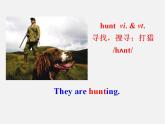 牛津译林初中英语七下Unit 8 Pets reading 1-2课件