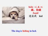 牛津译林初中英语七下Unit 8 Pets reading 1-2课件