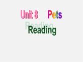 牛津译林初中英语七下  Unit 8 Pets Reading课件