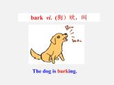 牛津译林初中英语七下Unit 8 Pets》Reading I课件