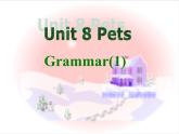 江苏省东海县横沟中学七年级英语下册 Unit 8 Pets Grammar课件