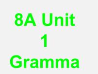 初中英语牛津译林版八年级上册Grammar教学演示ppt课件