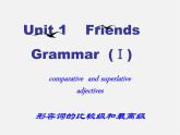 江苏省永丰初级中学八年级英语上册 Unit 1 Friends Grammar课件1