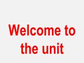 江苏省永丰初级中学八年级英语上册 Unit 1 Friends Welcome to the unit课件1