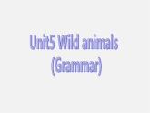江苏省溧水县孔镇中学八年级英语上册 Unit 5 Wild animals Grammar课件